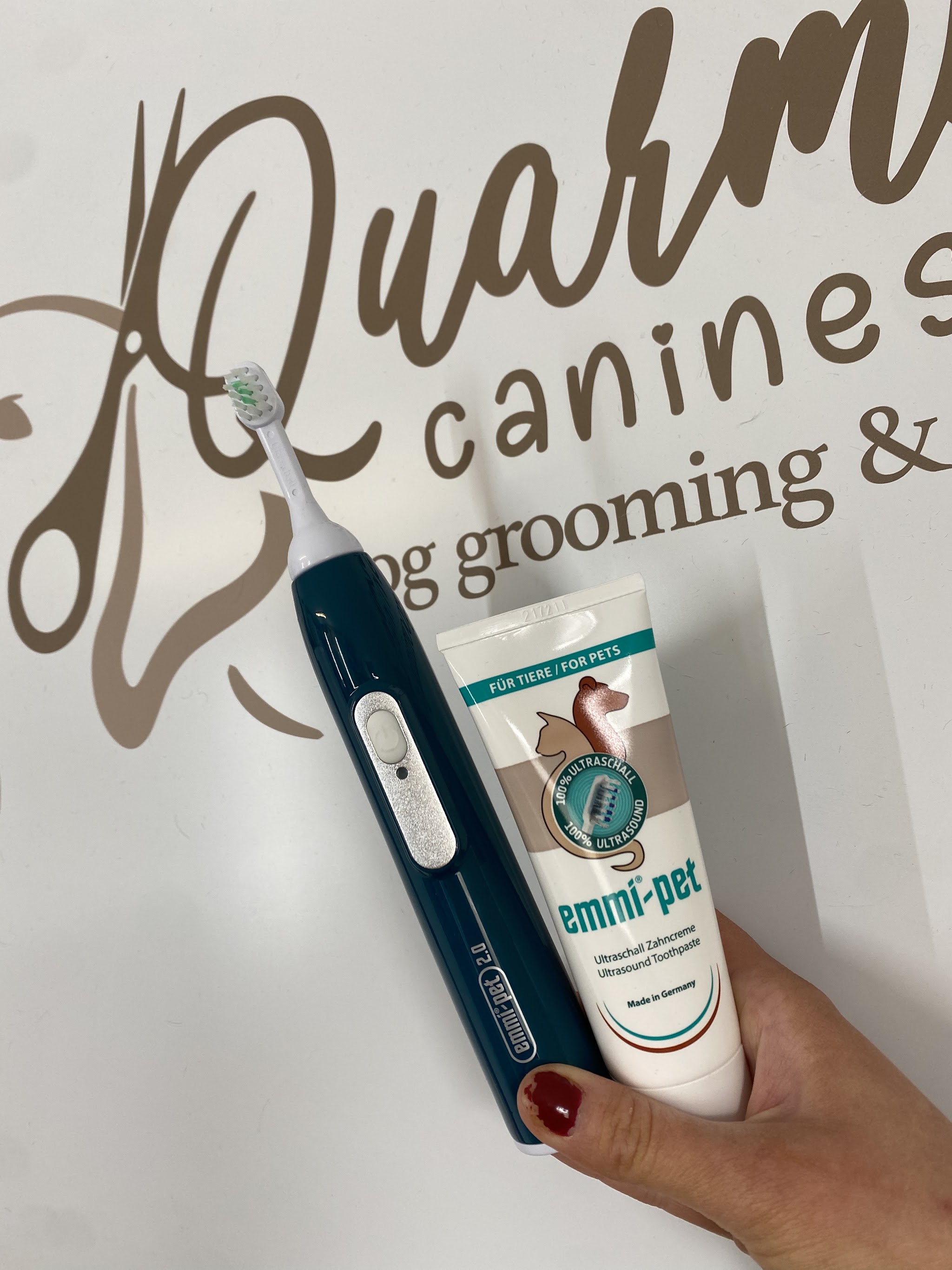 The salon's emmi-pet teeth-cleaning toothbrush and toothpaste in front of its sign